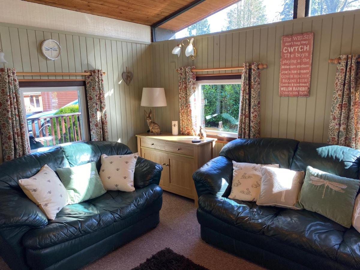 Caban Coetir Villa Cenarth Exterior photo