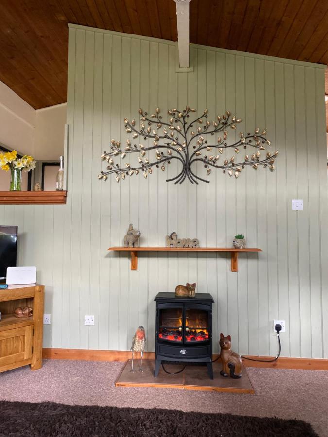 Caban Coetir Villa Cenarth Exterior photo